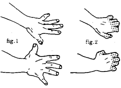 Computer And Desk Stretches