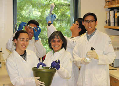 Personal Protective Equipment in the Laboratory